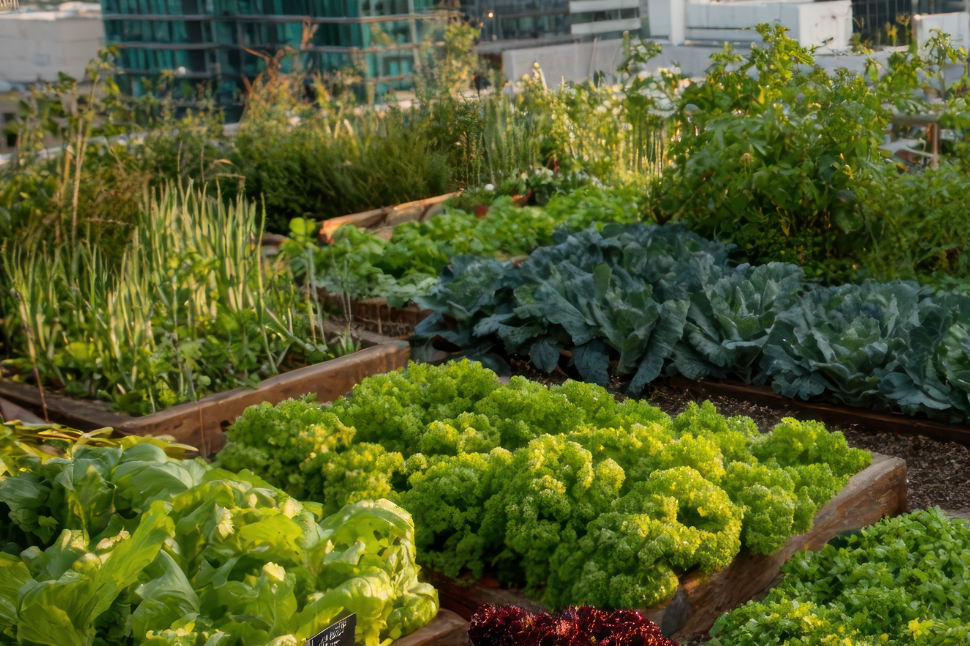 © Hamdi Kandi Studio